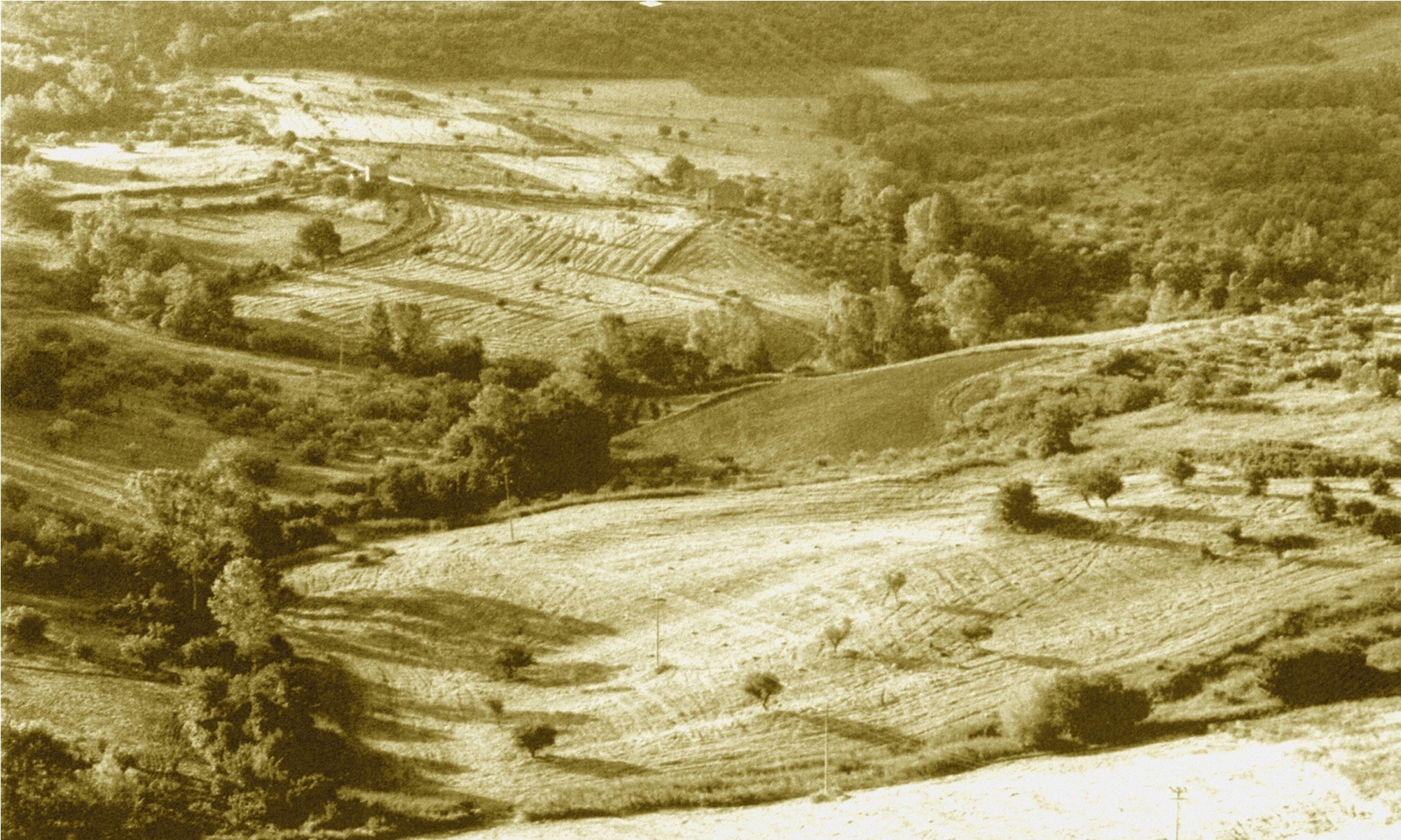 Malvito campagna